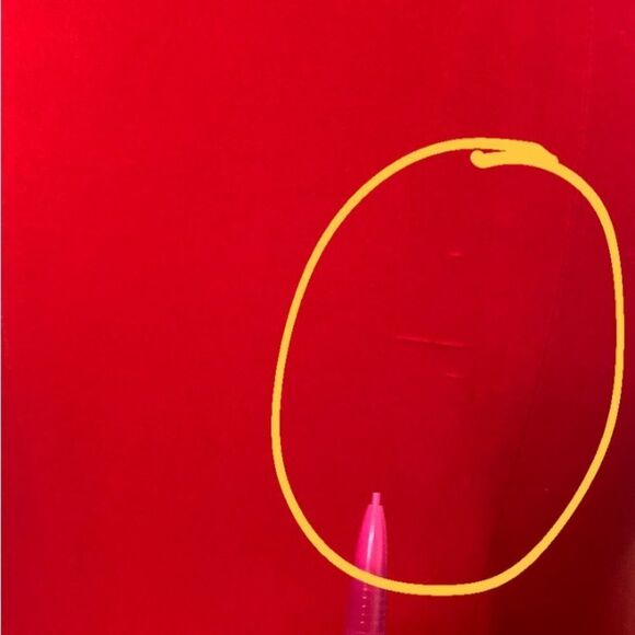 Red Rose Embroidered Lace Mermaid Gown by Cinderella Divine Size 6 - Picture 8 of 14